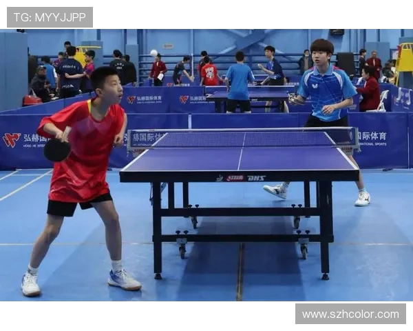 乒乓球运动的魅力与技术探索 乒乓球运动的魅力与技术探索