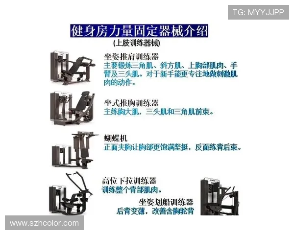 提升身体素质与健康的全面指南：从基础训练到饮食管理的健身全攻略