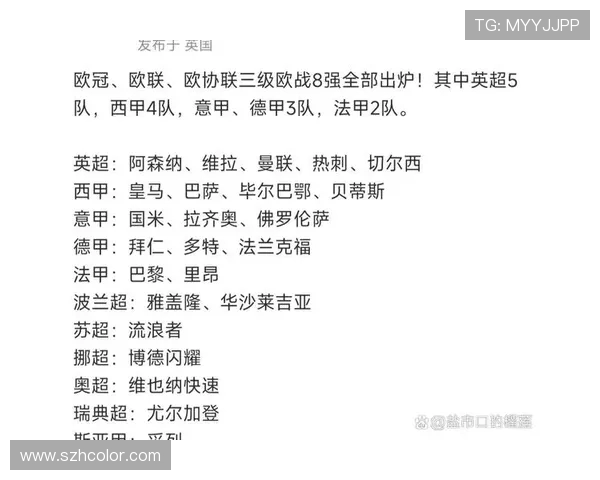 五大联赛球队实力对比与战术分析：从英超到西甲的全方位探讨