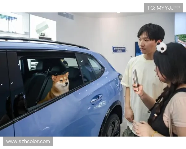 电竞职业联赛新纪元探索全面升级与行业发展趋势的未来之路