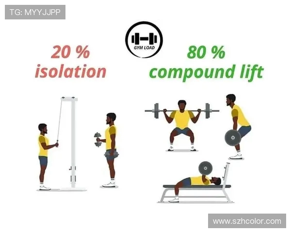 科学健身方法揭秘塑形增肌减脂全面指南助你实现健康理想体型