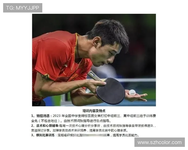 从零起步掌握乒乓球心理素质的全面提升秘籍与实战技巧