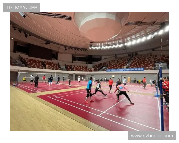 成都排球队在洲际杯中的心理素质表现分析与启示