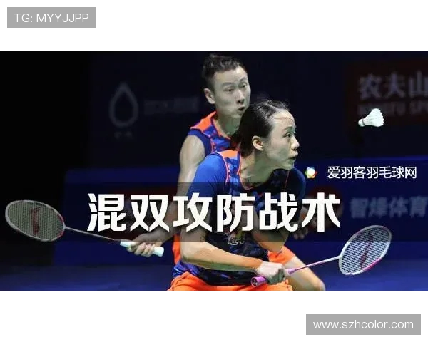 西安羽毛球队战术解析与对比分析的深度研究与探讨 西安羽毛球队战术解析与对比分析的深度研究与探讨