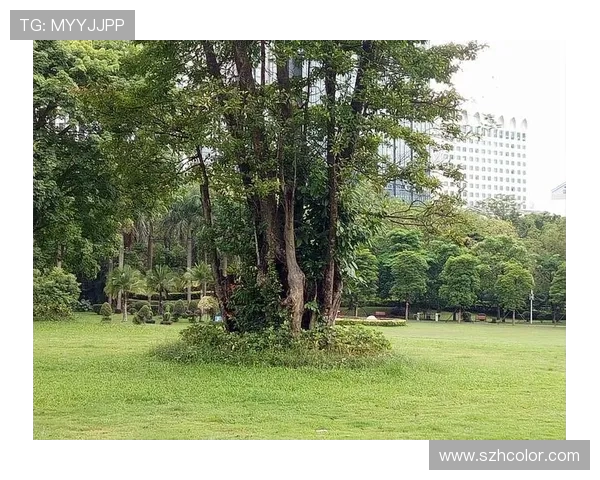 打造世界级足球俱乐部的战略蓝图与管理创新路径分析